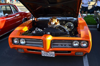 Enlarge photo 35