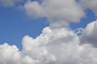 Enlarge photo 58
