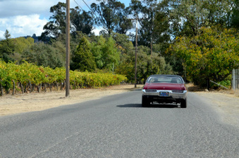 Enlarge photo 59