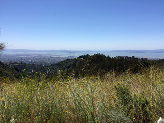 Enlarge photo 82