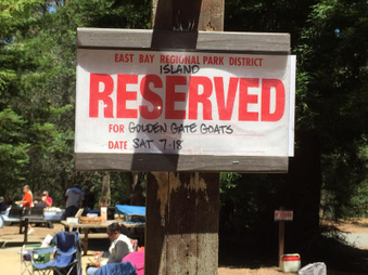 2015 Tilden Park Picnic