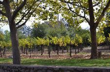 Enlarge photo 40