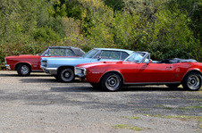 Enlarge photo 45