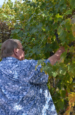 Enlarge photo 59