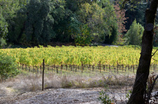 Enlarge photo 24