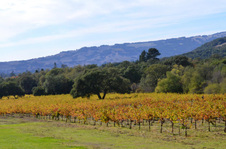 Enlarge photo 58