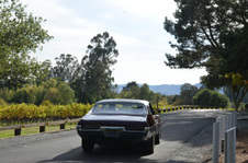 Enlarge photo 73