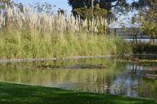 Enlarge photo 89