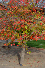 Enlarge photo 81