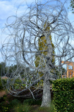 Enlarge photo 85
