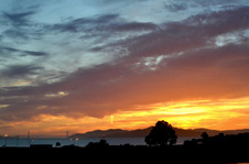 Enlarge photo 97