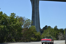 Enlarge photo 43
