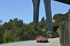 Enlarge photo 49