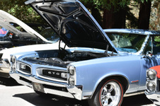 Enlarge photo 34