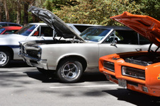 Enlarge photo 50