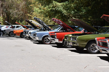 Enlarge photo 49