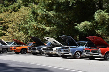 Enlarge photo 2