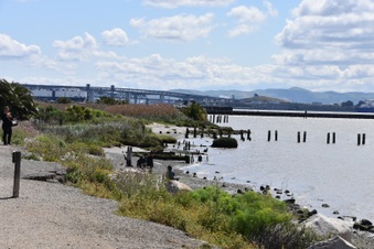 Enlarge photo 31