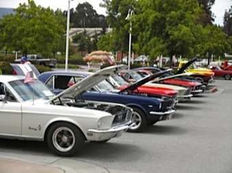 Enlarge photo 10