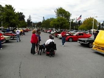 Enlarge photo 13