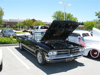 Enlarge photo 221
