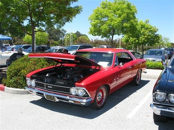 Enlarge photo 225