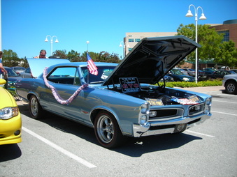 Enlarge photo 137