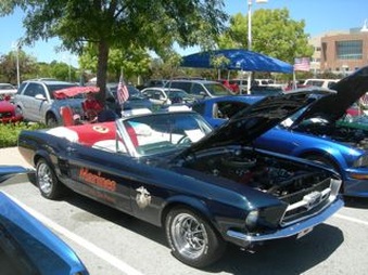 Enlarge photo 34