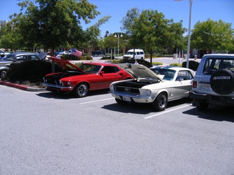 Enlarge photo 49