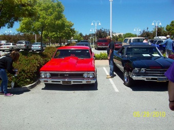 Enlarge photo 79