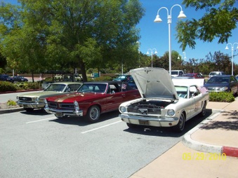 Enlarge photo 86