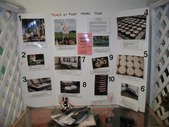 Enlarge photo 11