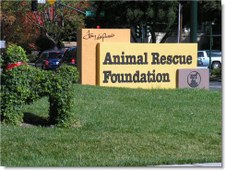 Animal Rescue Foundation Tour