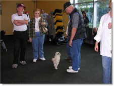 Enlarge photo 13