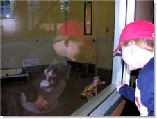 Enlarge photo 21