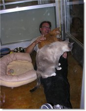 Enlarge photo 26