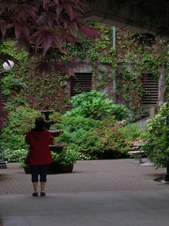 Enlarge photo 55