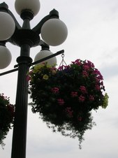 Enlarge photo 51