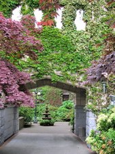 Enlarge photo 54