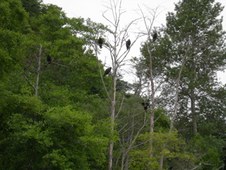Enlarge photo 34