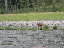 Enlarge photo 35