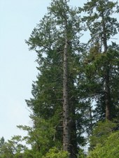 Enlarge photo 36