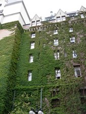 Enlarge photo 53
