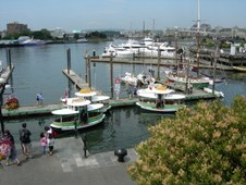 Enlarge photo 76