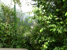 Enlarge photo 77