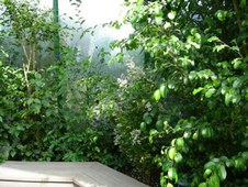 Enlarge photo 78