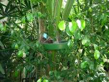 Enlarge photo 79