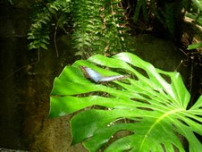Enlarge photo 84