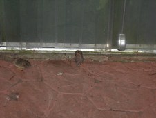 Enlarge photo 87