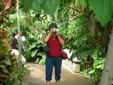 Enlarge photo 88